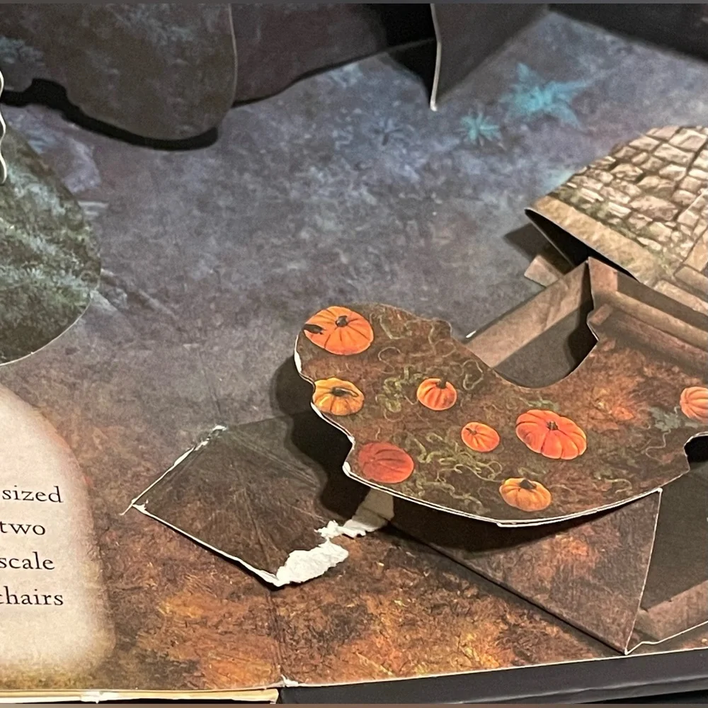 Harry Potter Harry Potter A Pop Up Guide Book Hogwarts Deluxe Edition‎ Wizarding